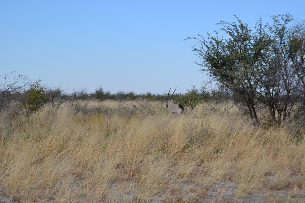 Chobe Sunset Chalets Lesoma Exterior foto